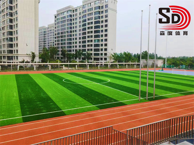 南阳市***初级中学 | 混合型跑道及草坪